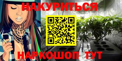 индика Шелехов