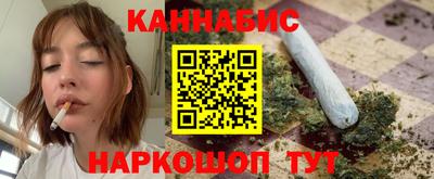 индика Шелехов